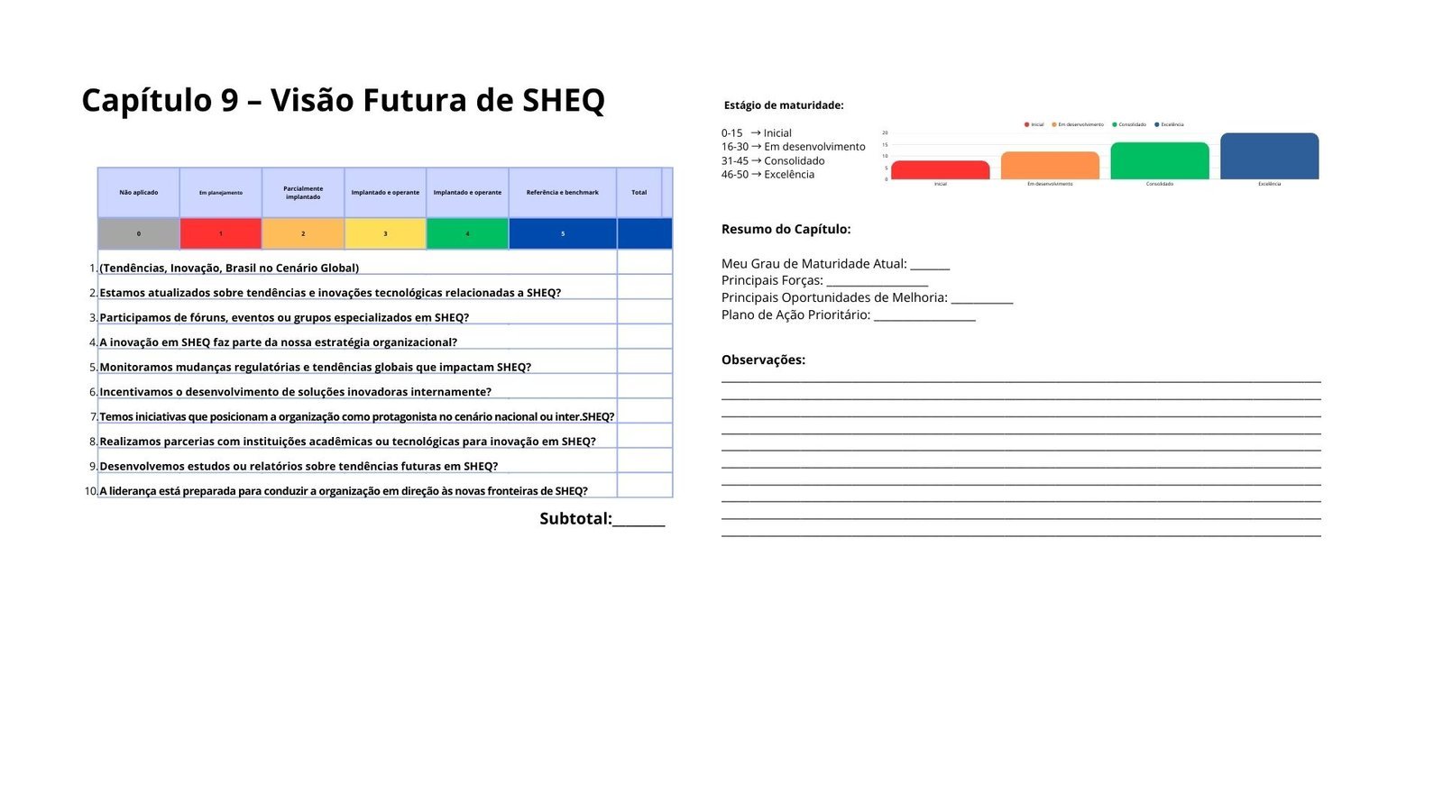 Capitulo-9-–-Visao-Futura-de-SHEQ.jpg